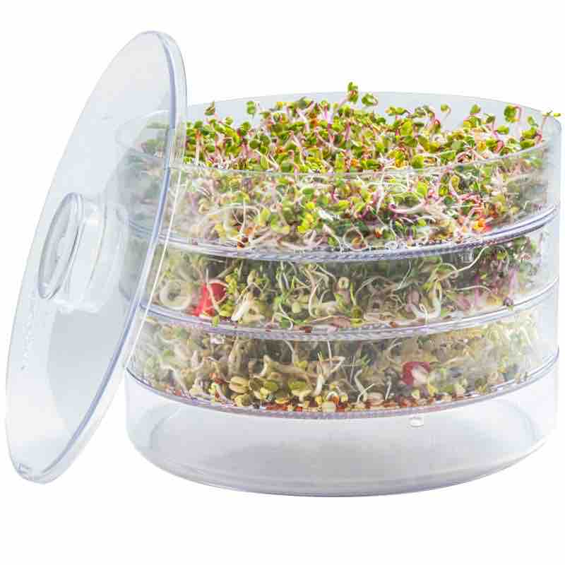 4 Layer Sprouts Maker
