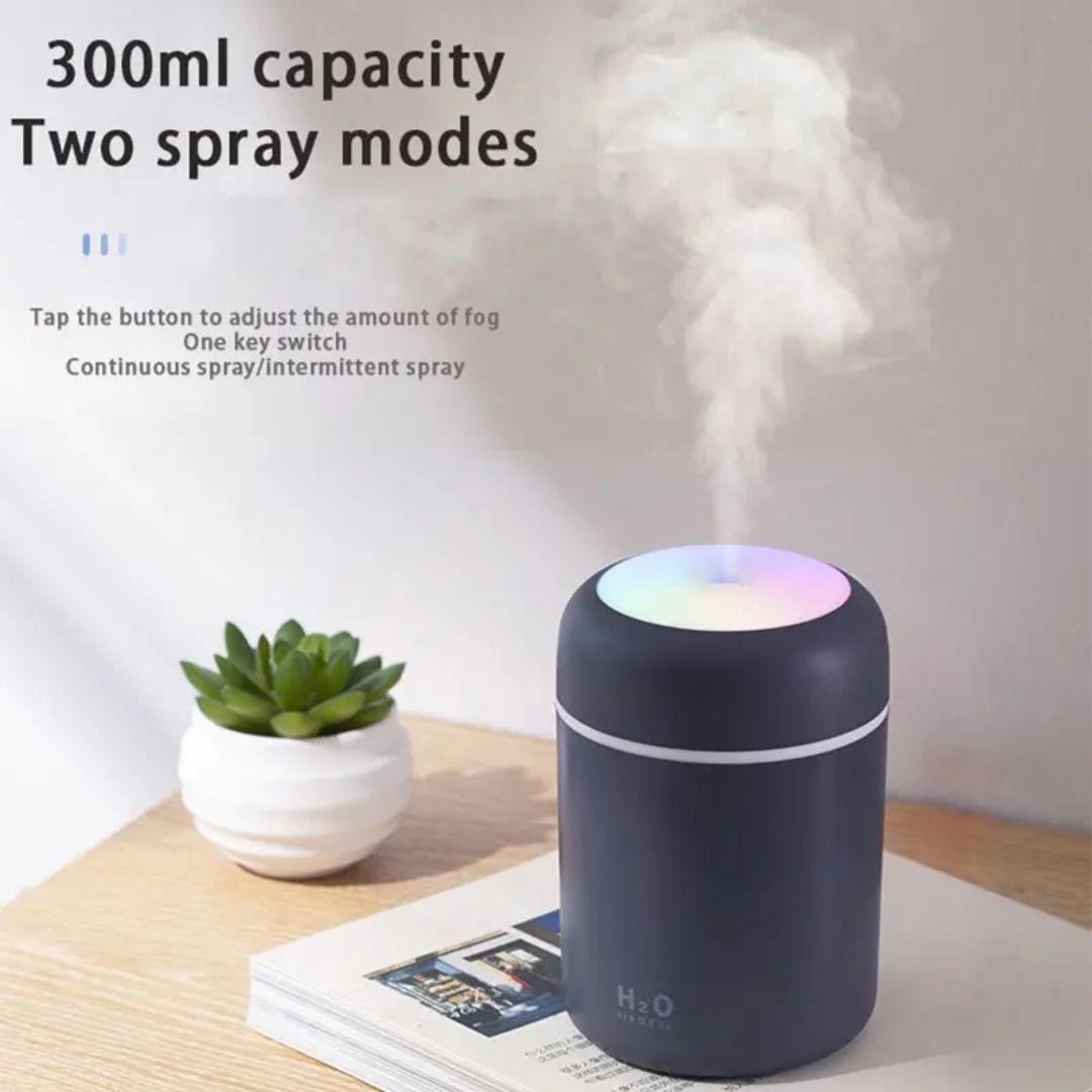 H2O Premium Humidifier (Imported)