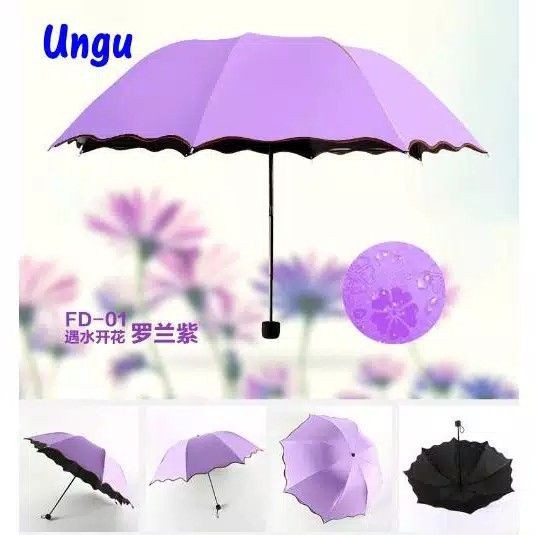 Magic Umbrella