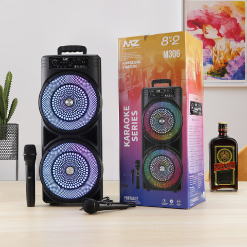 MZ M-306 WIRELESS TOWER SPEAKER 🔊