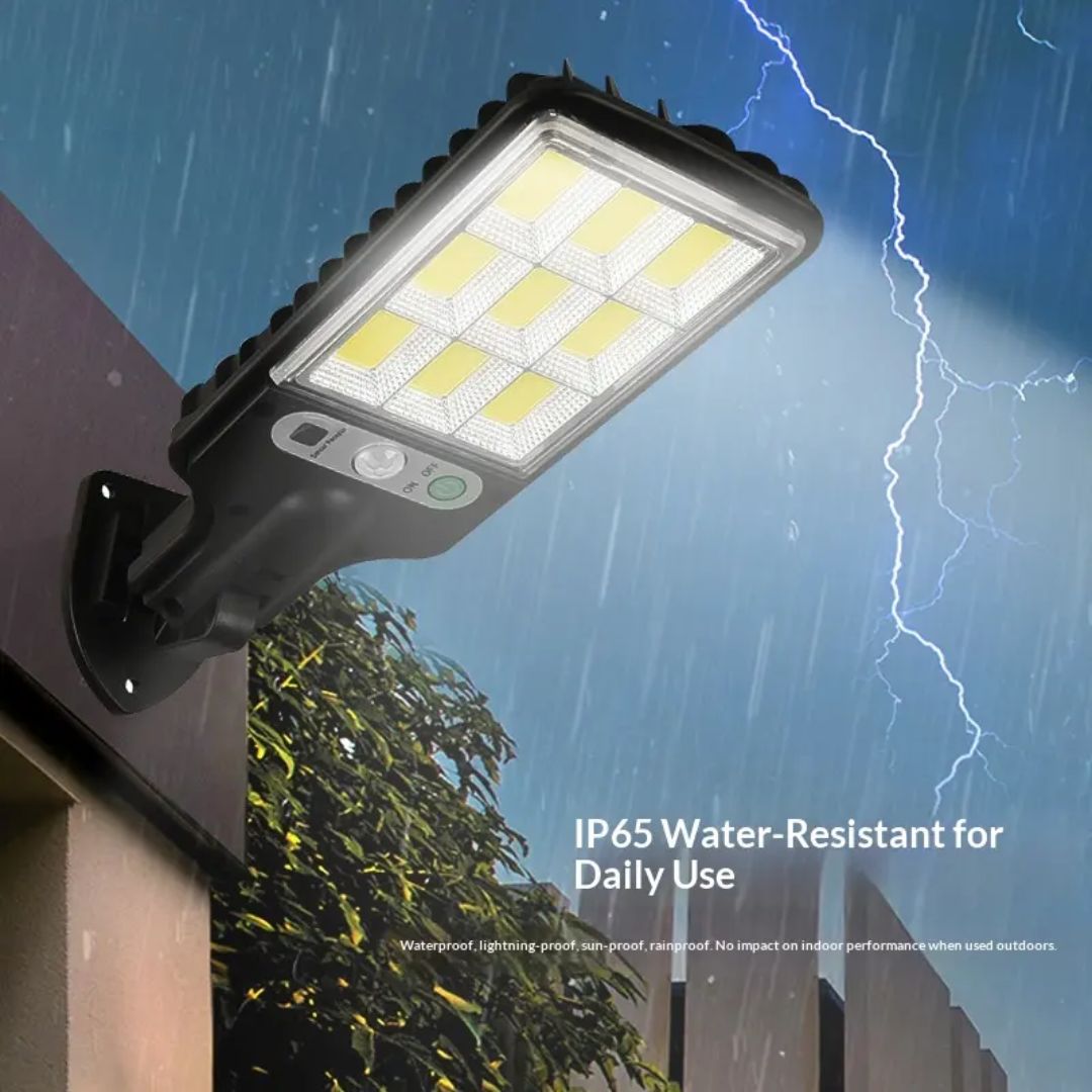 Solar Motion Street Light (Imported)